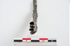 Foto von Bronzesitula (NHMW-PRAE-024606)